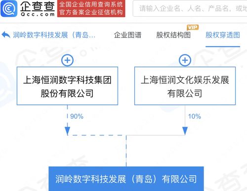 數字文化創(chuàng)意軟件開發(fā) 融合科技與藝術的新引擎