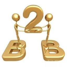 電器輔件B2B電子商務(wù) 機(jī)遇、挑戰(zhàn)與戰(zhàn)略升級(jí)